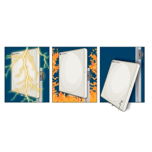 PTP250 Upgrade to All Risks Advanced Replacement Program during 1st Year warranty, End Only
