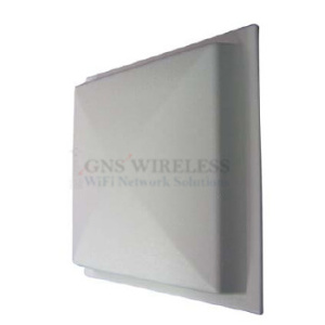 900MHz AP +29 dBm N-Female Connector