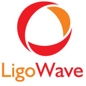 6' Waveguide Antenna, LP for 6 - 8GHz frequency